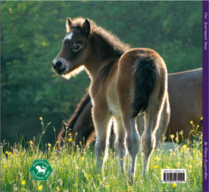 THE DARTMOOR PONY BY TRACEY ELLIOT-REEP Dartmoor Pony Society-Back Cover