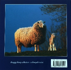 Shaggy Sheep-Back Cover