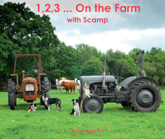 1,2,3, On the Farm by Tracey Elliot-Reep