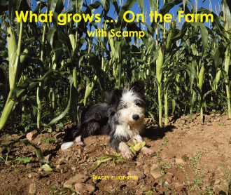 What Grows On the Farm by Tracey Elliot-Reep
