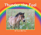 Rainbow's Farmyard Friends by Tracey Elliot-Reep - Thunder the Foal