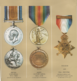 Widecombe WW1: George Nosworthy Medals