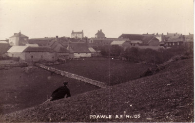 Shepherds Farm, East Prawle in July 1931 (Photo East Prawle History Society)