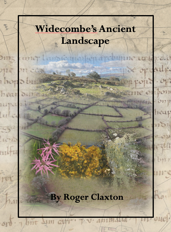 Widecombe's Ancient Landscape Book Cover