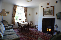 Log fire in sitting room