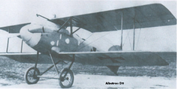 Widecombe WW1: Albatross D11. Picture copyright The Aerodrome