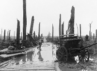 Widecombe WW1: Passchendaele Battlefield IWM Photo from Doncaster Archives